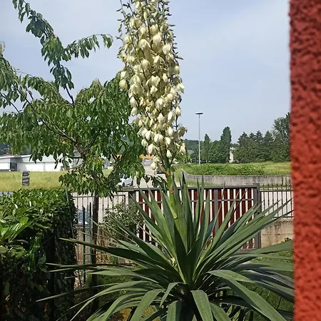 Appartamento Cjase Paola Cassacco Esterno foto